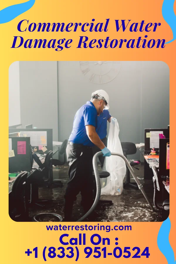 Commercial Water Damage Restoration in Wood Lake, MN