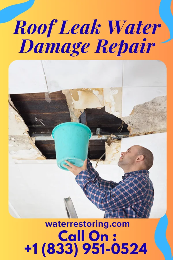 Roof Leak Water Damage Repair in Wood Lake, MN